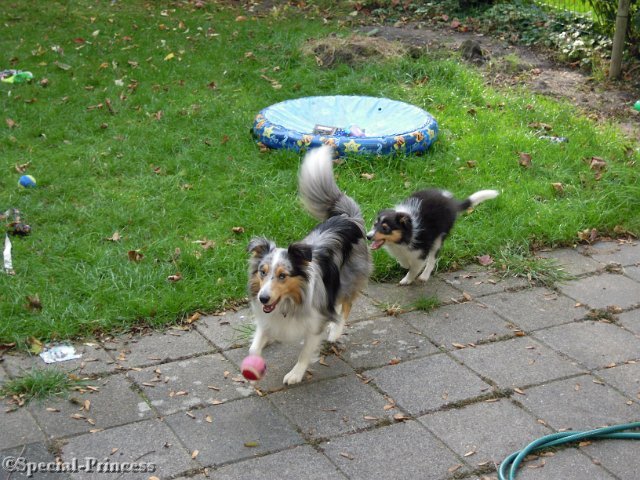 Dylano samen met mama Abby